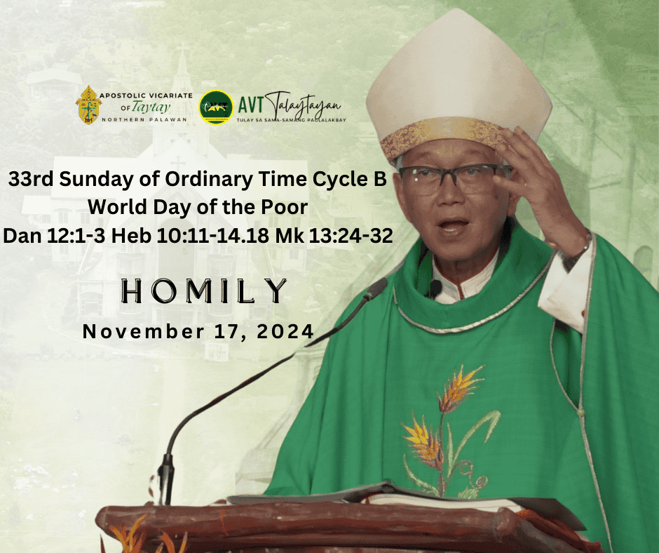 HOMILY || 33rd Sunday in Ordinary Time ( World Day of the Poor )