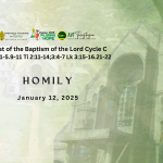 Homily, Feast of the Baptism of the Lord Cycle C