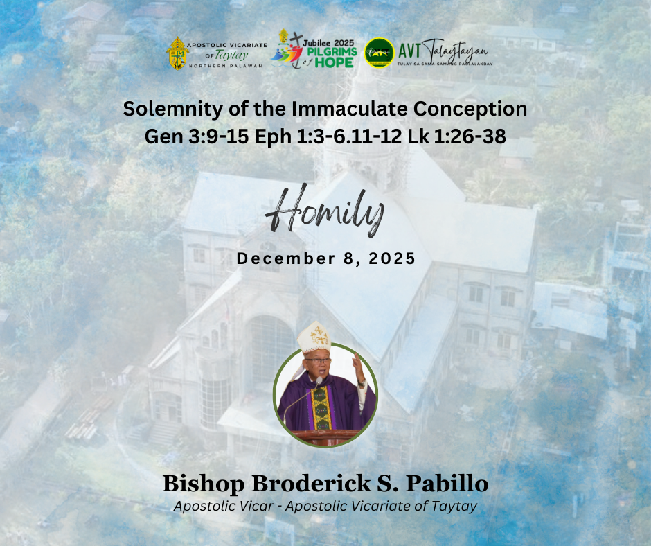 Homily for Solemnity of the Immaculate Conception