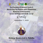 Homily for 2nd Sunday of Advent Cycle A World Day for People with Disabilities and National AIDS Sunday