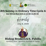 HOMILY| 14th Sunday in Ordinary Time Cycle A